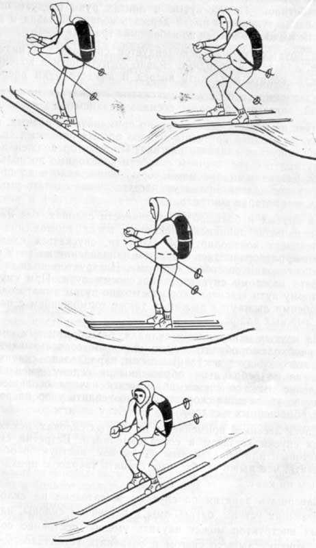 Классификация лыжных ходов. спуск и подъем на лыжах
