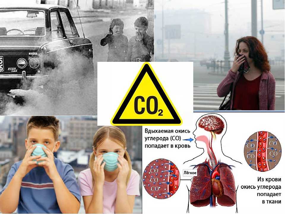 Выхлопные газы автомобилей и их влияние на здоровье человека