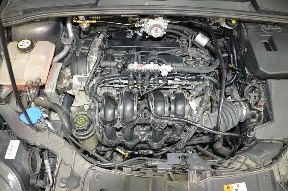 Форд фокус 3 (2011 года выпуска) с двигателем duratec - руководство по эксплуатации